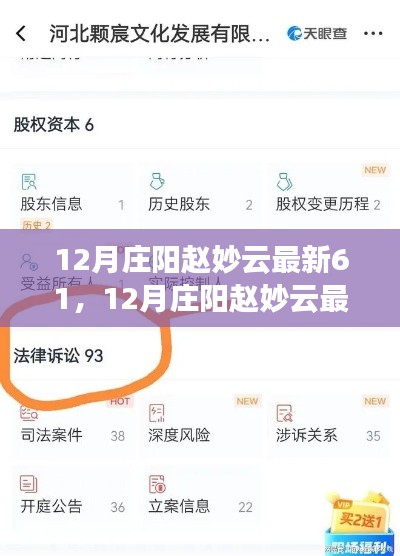 庄阳赵妙云最新事件，多维度观点探讨