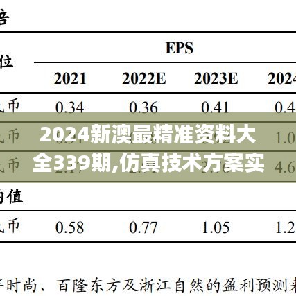2024新澳最精准资料大全339期,仿真技术方案实现_WP168.537-4
