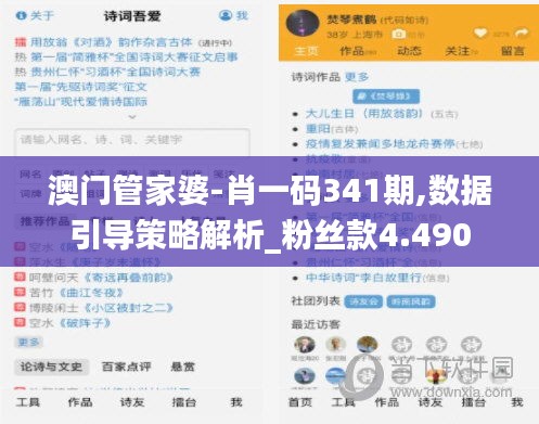 澳门管家婆-肖一码341期,数据引导策略解析_粉丝款4.490