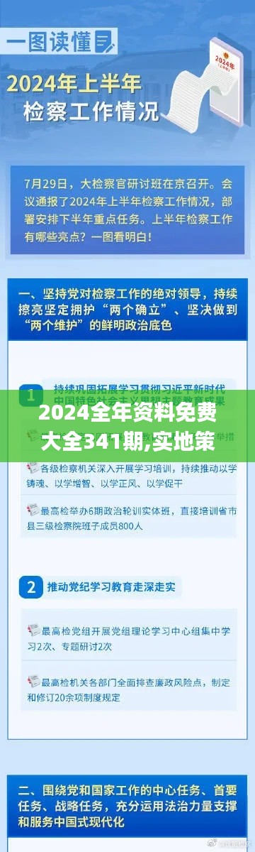 2024全年资料免费大全341期,实地策略验证计划_苹果款110.748