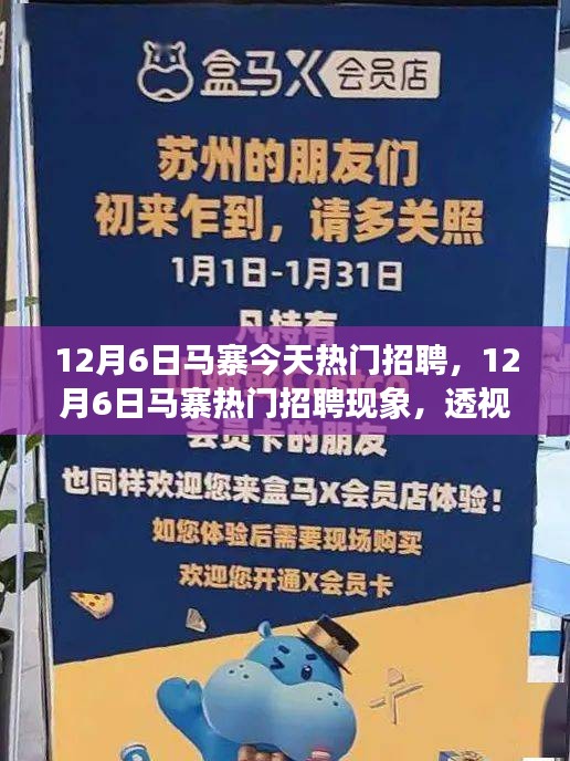 走马观花 第4页