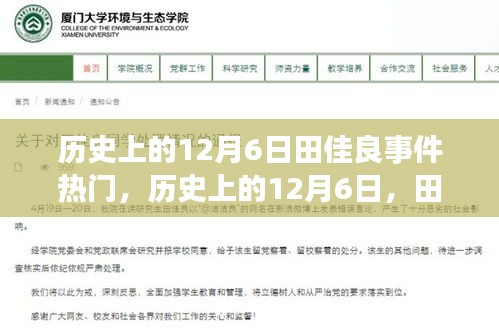 蚁出蚋飞 第4页