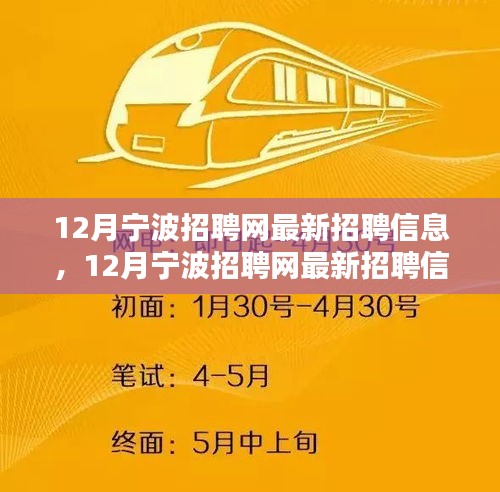 12月宁波招聘网最新招聘信息全面解析与求职全攻略
