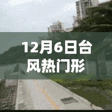 全面步骤指南，追踪和理解12月6日台风热门形成的胚胎过程