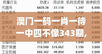 澳门一码一肖一待一中四不像343期,衡量解答解释落实_QHD版9.179