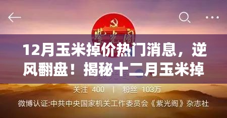 娇小玲珑 第4页