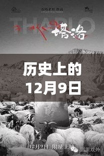 新篇章