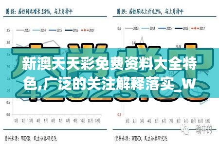 新澳天天彩免费资料大全特色,广泛的关注解释落实_WearOS8.175