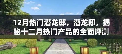 潜龙邸揭秘，十二月热门产品全面评测与深度介绍