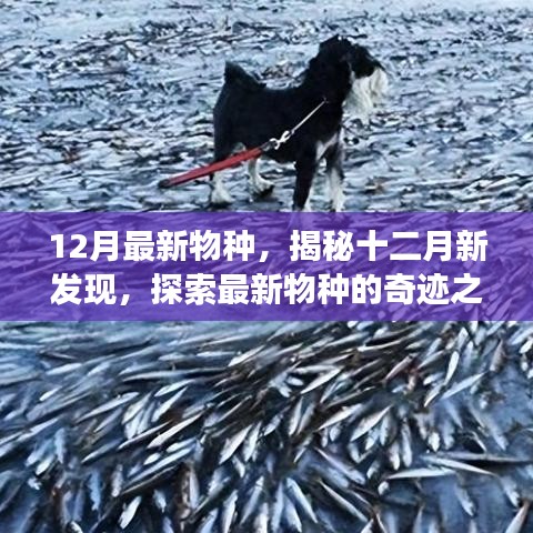 齿白唇红 第4页
