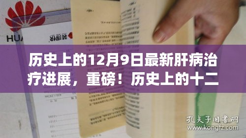 飞燕化龙 第3页