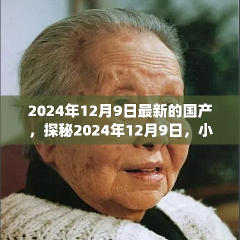 探秘隐藏瑰宝，特色小店奇遇之旅在2024年12月9日揭晓