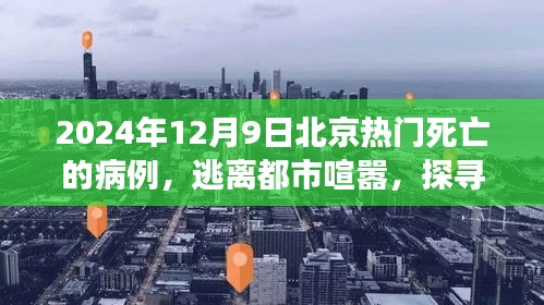 倦鸟思归 第4页