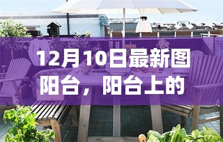虫书鸟篆 第3页