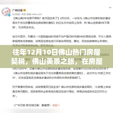 佛山房屋契税与美景之旅，探寻内心的宁静与自然微笑之道