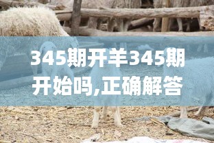 345期开羊345期开始吗,正确解答落实_bundle7.980