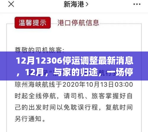 12月停运调整心系归途，12306最新消息与温情之旅向家出发