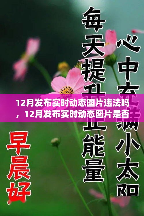 解读，实时动态图片发布是否违法？关于12月发布实时动态图片的法规与案例分析