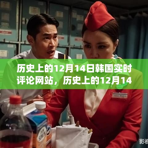 韩国实时评论网站的演变与影响，历史上的12月14日回顾