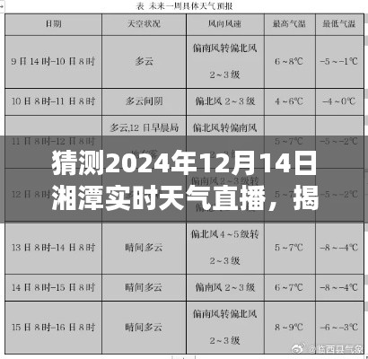揭秘未来，湘潭天气预报直播预测——湘潭实时天气直播观察（2024年12月14日）