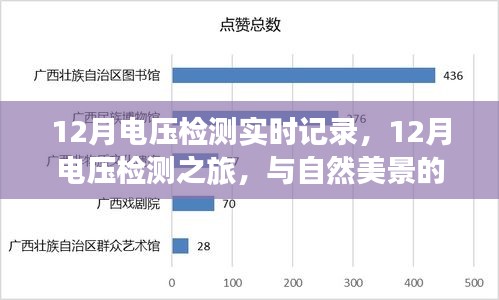 12月电压检测之旅，实时记录与自然美景的交融