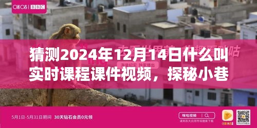 探秘实时课程课件视频，小巷深处的宝藏与特色小店的奇妙邂逅，2024年12月14日的探索之旅
