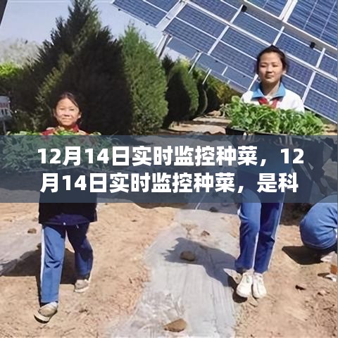科技赋能还是过度干预？种菜实时监控引发争议。