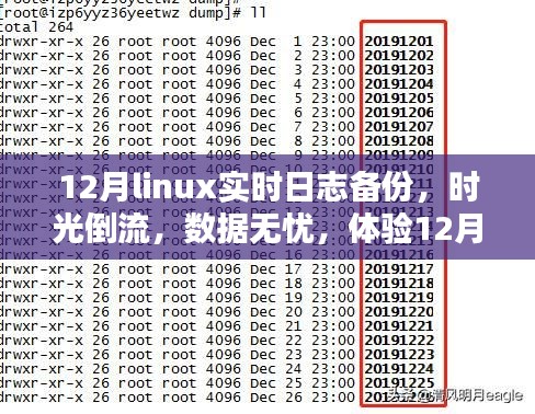 体验Linux实时日志备份前沿科技魅力，时光倒流无忧数据保障在十二月