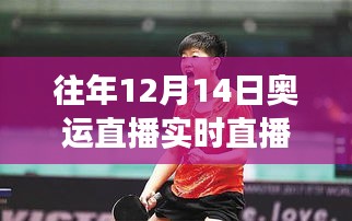 乒坛新星孙颖莎的魅力与争议，历年12月14日奥运直播回顾与解析