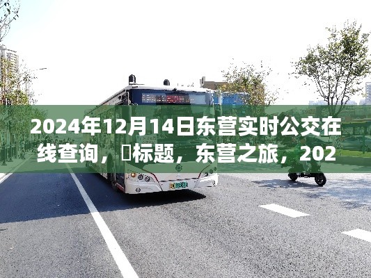 东营公交实时查询系统，探寻心灵静谧角落的公交之旅