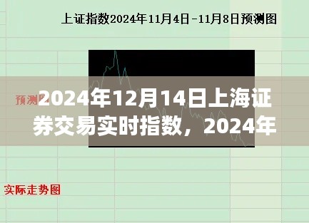 市场走势洞察