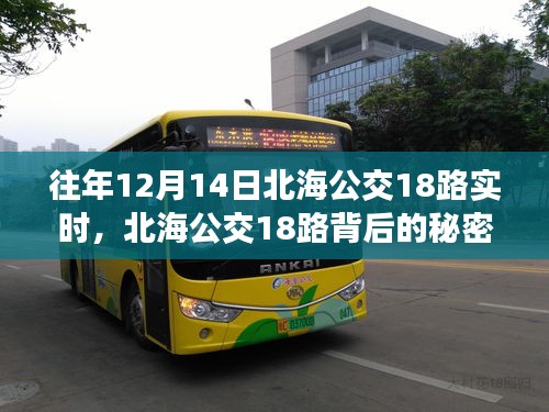 飞龙在天 第3页