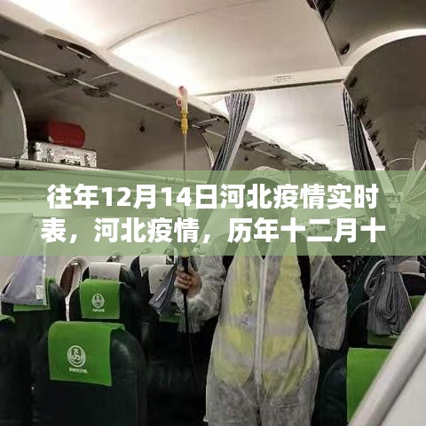 步履如飞 第3页