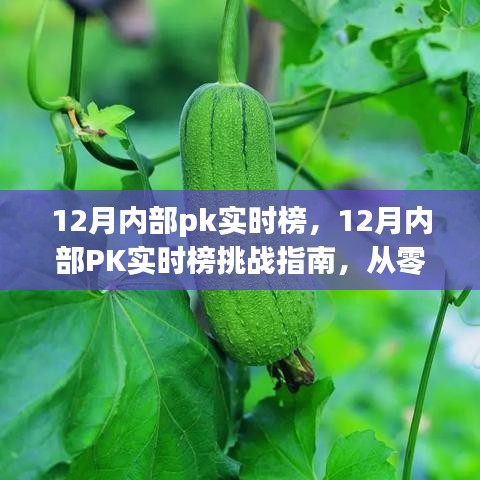 从零起步到高手的进阶之路，12月内部PK实时榜挑战指南