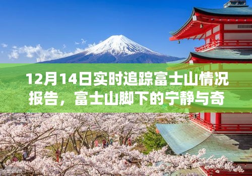 富士山实时追踪报告，与自然共舞，探寻宁静与奇迹的旅程