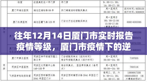 学习之光