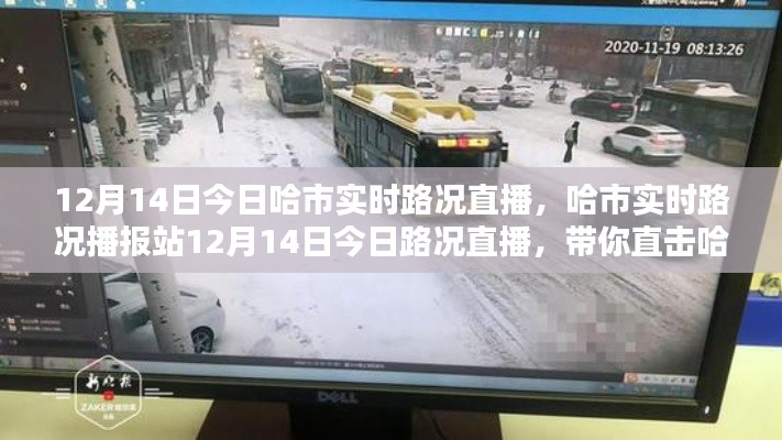 半截鸟木 第3页