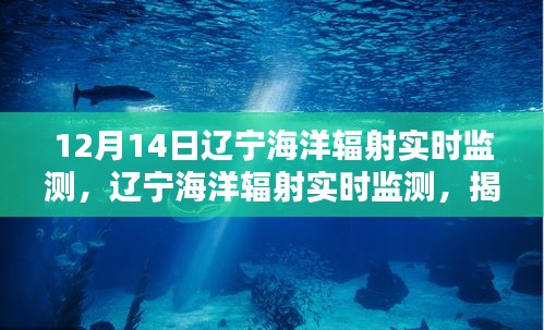 揭秘科技力量与环保责任，辽宁海洋辐射实时监测详解（要点详解）