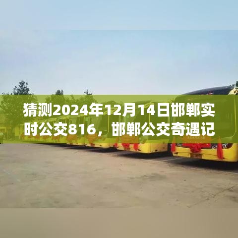 邯郸公交奇遇记，揭秘与公交816的不解之缘，预测2024年12月14日实时动态