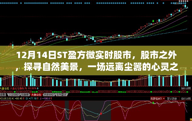 三足鼎立 第3页
