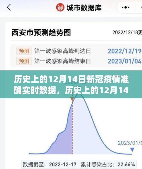 历史上的12月14日新冠疫情实时数据解析与产品评测