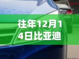 自然共舞