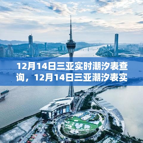 12月14日三亚潮汐表实时查询攻略，从新手到进阶的全方位教程