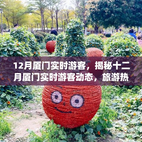 揭秘十二月厦门游客动态，旅游热点、特征与活动亮点