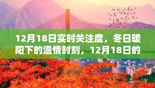 12月18日实时关注，冬日暖阳下的温情时刻