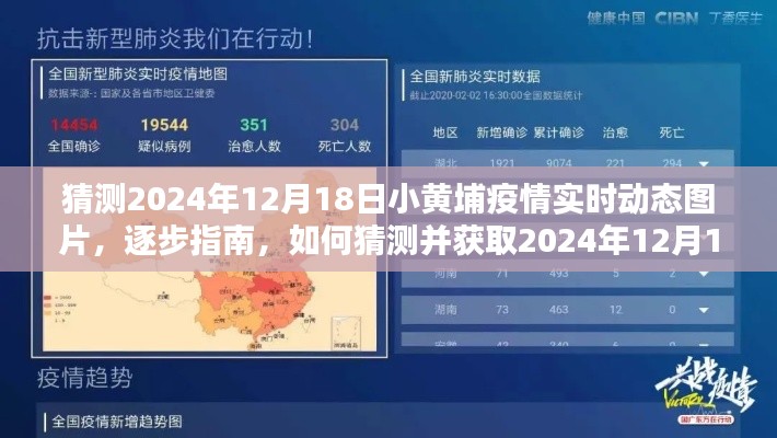 揭秘，如何获取与猜测2024年小黄埔疫情实时动态图片指南