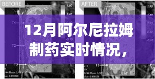 阿尔尼拉姆制药12月实时动态，生产进展、市场洞察一览无余