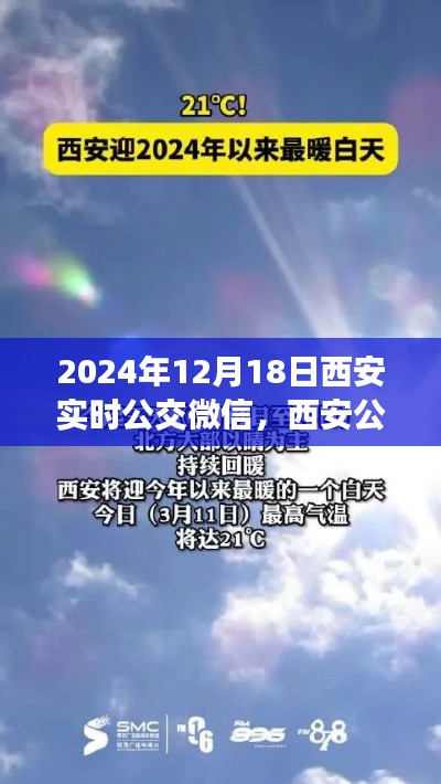 虎背熊腰 第3页