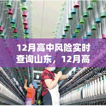 山东地区高中风险实时查询系统介绍与产品评测