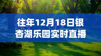 重温银杏湖乐园梦幻之旅，往年12月18日直播盛典回顾